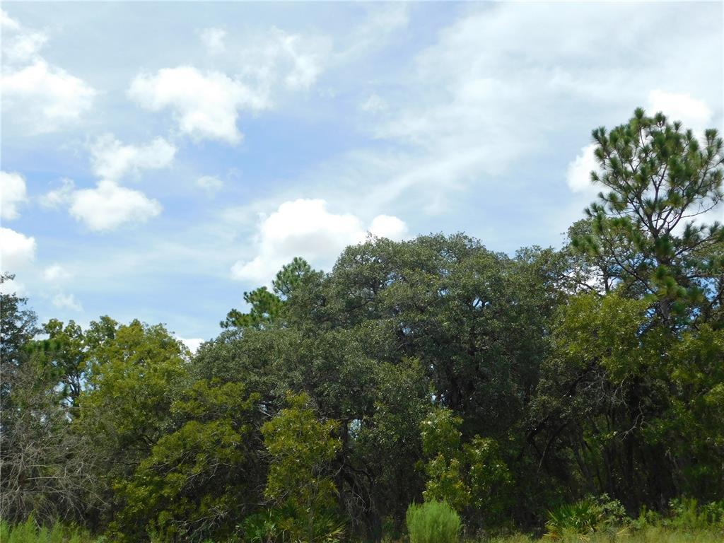 Property for sale at 6681 N BEDSTROW BOULEVARD, DUNNELLON, FL, 34434
