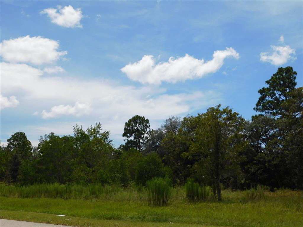 Property for sale at 6681 N BEDSTROW BOULEVARD, DUNNELLON, FL, 34434