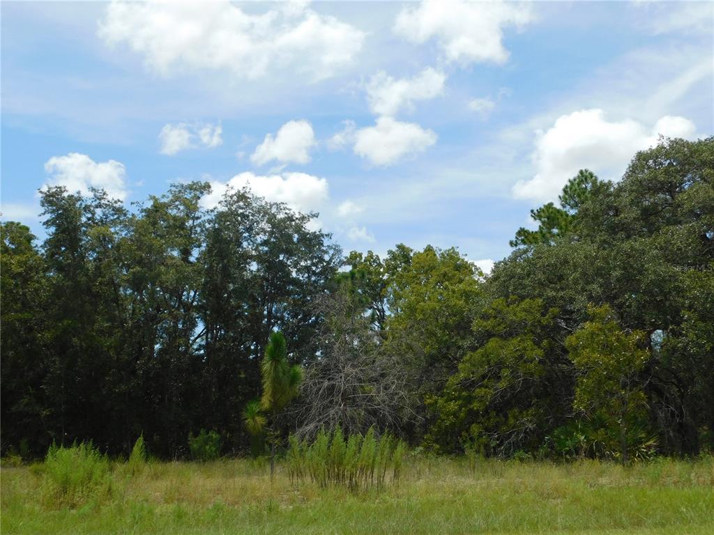 Property for sale at 6681 N BEDSTROW BOULEVARD, DUNNELLON, FL, 34434
