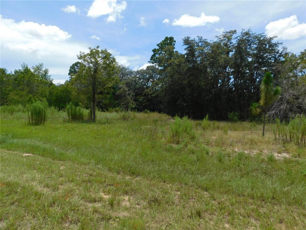 Property for sale at 6681 N BEDSTROW BOULEVARD, DUNNELLON, FL, 34434
