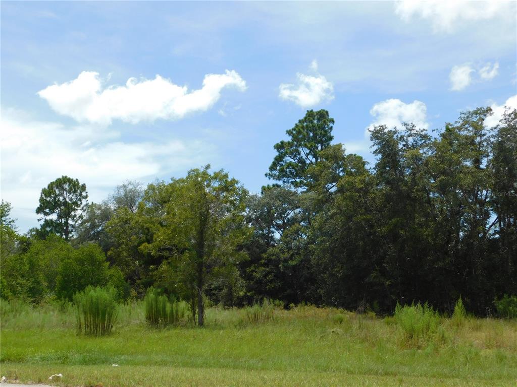 Property for sale at 6681 N BEDSTROW BOULEVARD, DUNNELLON, FL, 34434