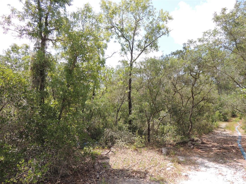 Property for sale at 5551 SW 103RD COURT, CEDAR KEY, FL, 32625