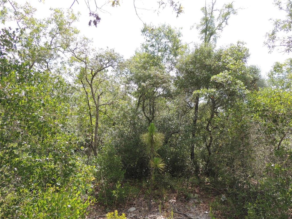 Property for sale at 5551 SW 103RD COURT, CEDAR KEY, FL, 32625