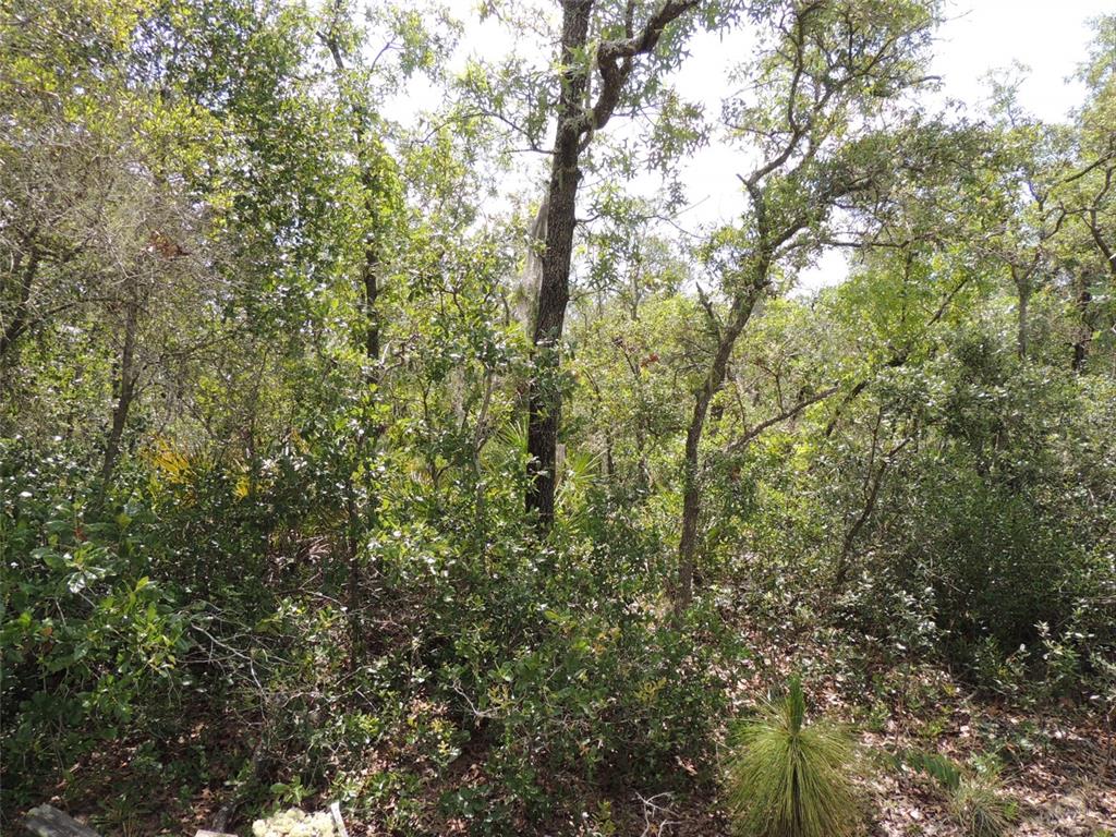 Property for sale at 5551 SW 103RD COURT, CEDAR KEY, FL, 32625