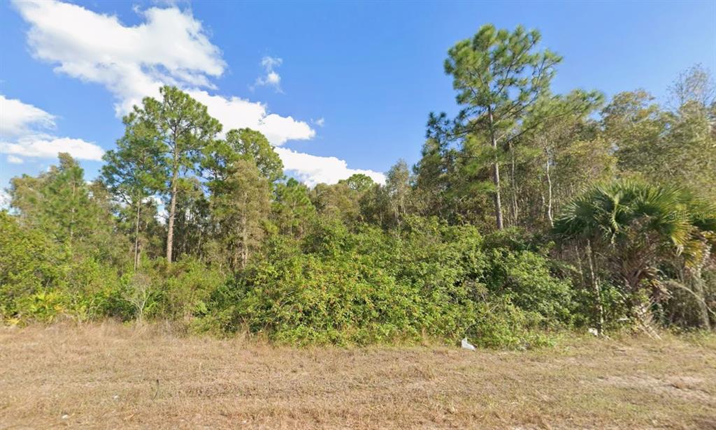 Property for sale at 1013 LEGION AVENUE, LEHIGH ACRES, FL, 33974