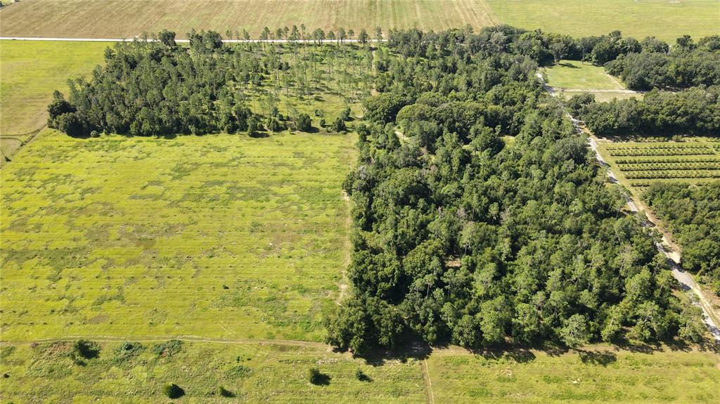 Property for sale at AMBERLEA ROAD, DADE CITY, FL, 33523