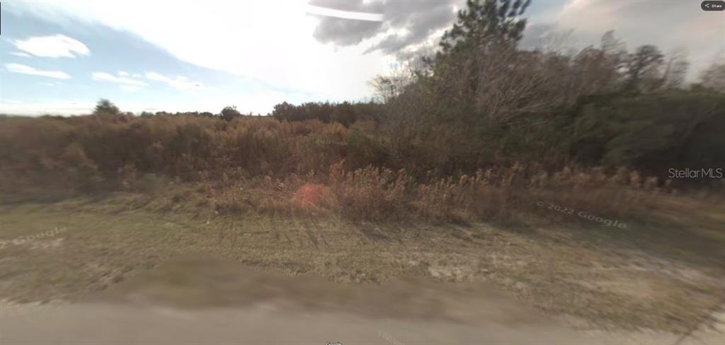 Property for sale at BACKLAND PATH ROAD, POLK CITY, FL, 33868