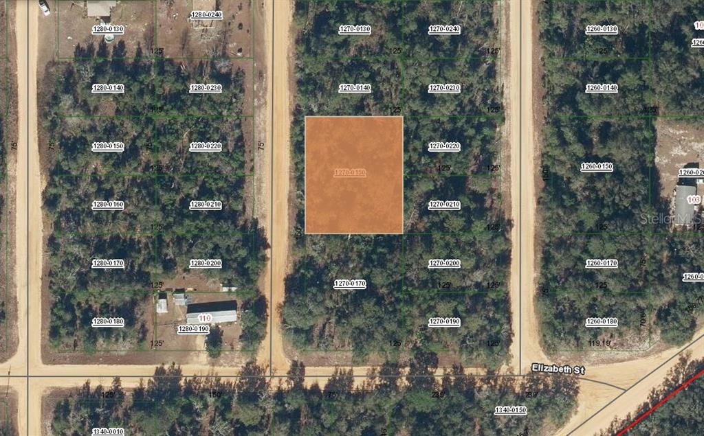Property for sale at 00 GLORIA AVENUE, INTERLACHEN, FL, 32148