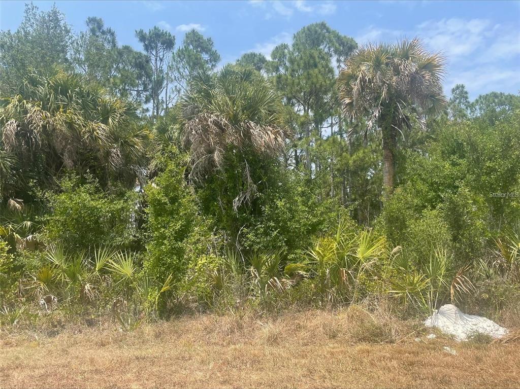 Property for sale at 348 RAMBLEWOOD STREET, PORT CHARLOTTE, FL, 33953