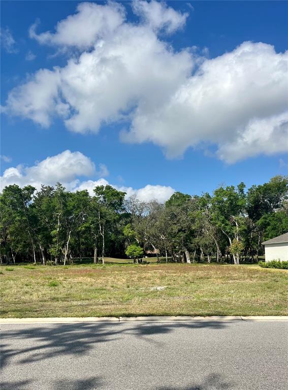 Property for sale at 3138 SILVERMINES AVENUE, ORMOND BEACH, FL, 32174