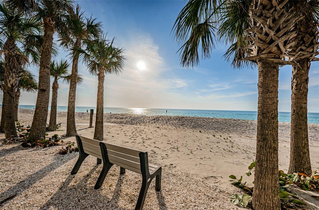 The sugary sands of Sand Key - Private Beach all to yourself!