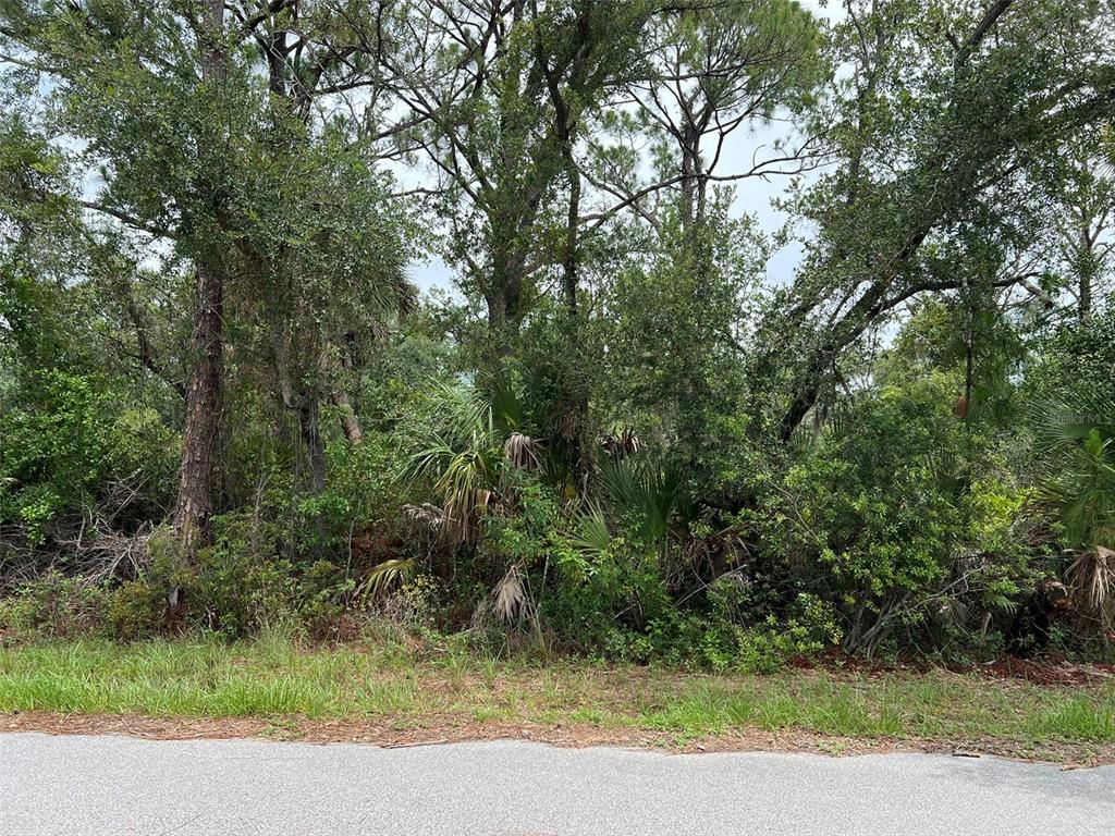 Property for sale at 13414 CARRIE AVENUE, PORT CHARLOTTE, FL, 33953