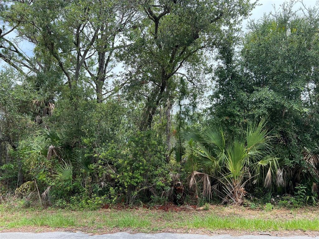 Property for sale at 13414 CARRIE AVENUE, PORT CHARLOTTE, FL, 33953
