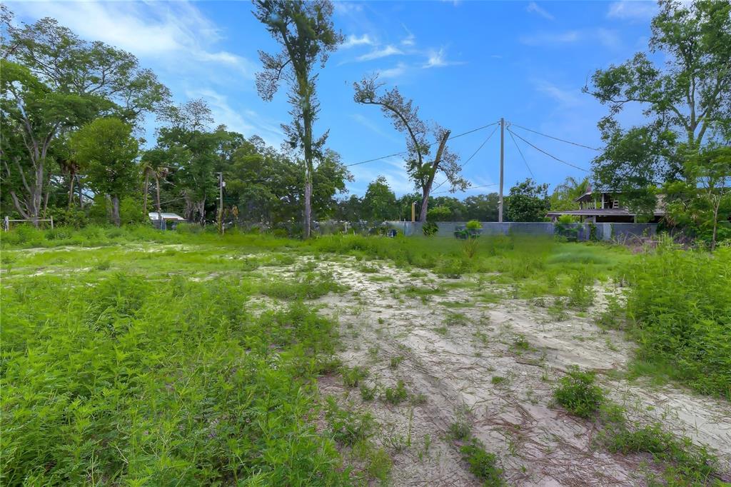 Rear portion of lot (North end)