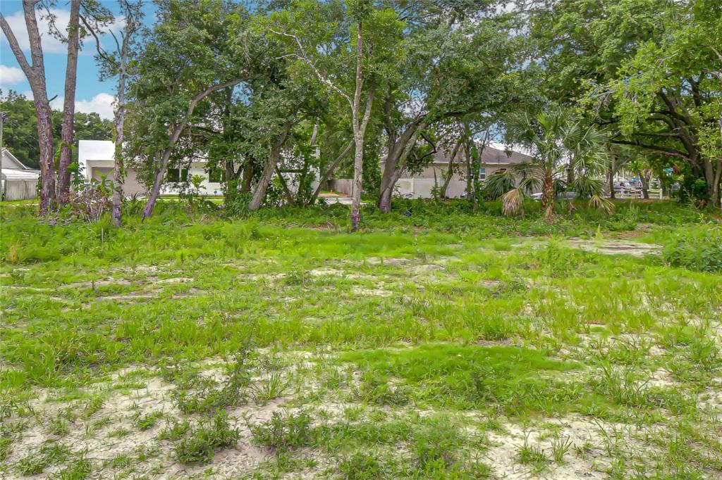 Front portion of lot (South end)