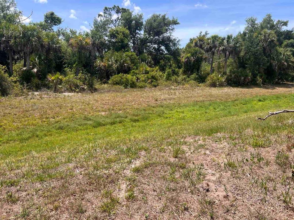 Property for sale at 163 MARINER LANE, ROTONDA WEST, FL, 33947