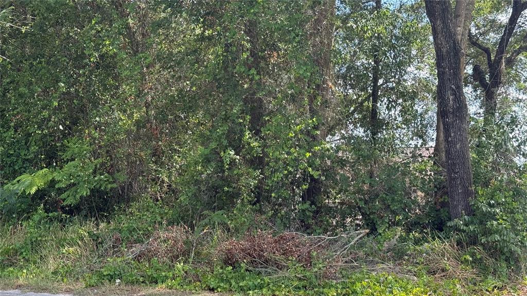 Property for sale at Lot #00 SE 62ND STREET, BELLEVIEW, FL, 34420
