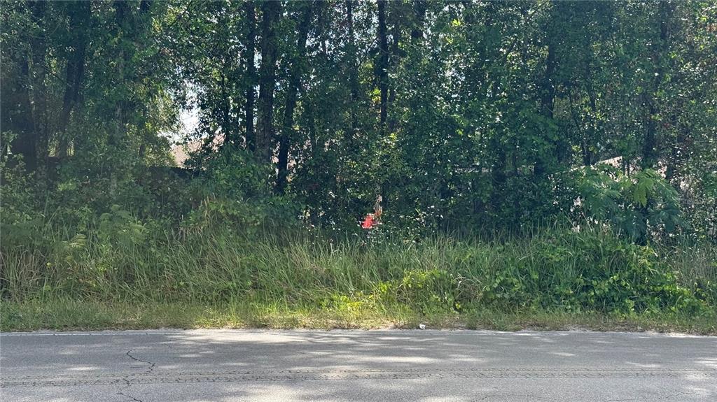 Property for sale at Lot #00 SE 62ND STREET, BELLEVIEW, FL, 34420