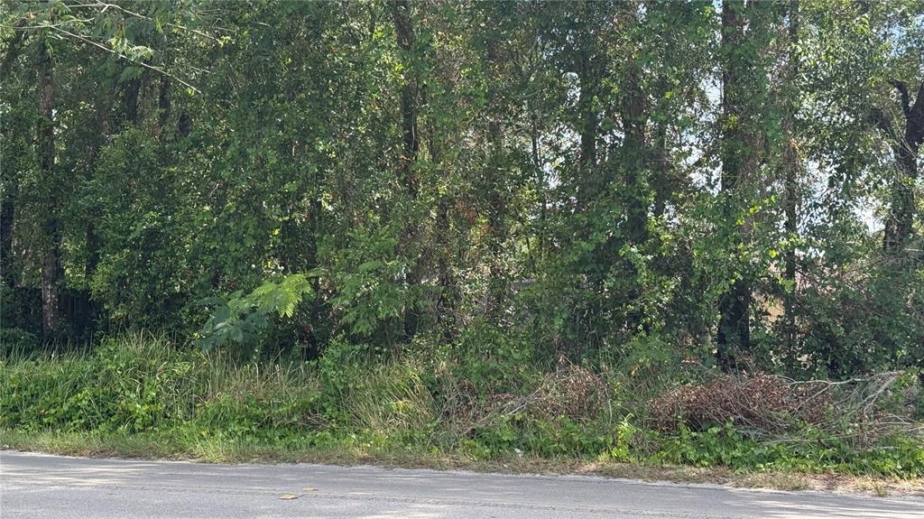 Property for sale at Lot #00 SE 62ND STREET, BELLEVIEW, FL, 34420