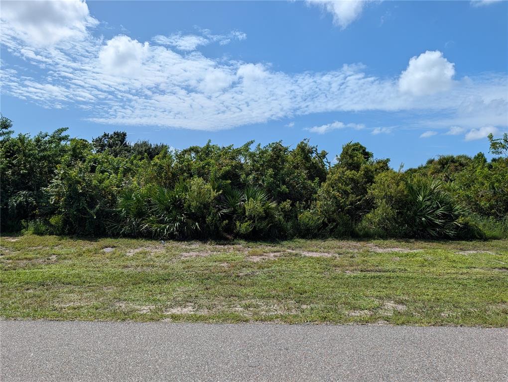 Property for sale at 281 BAYTREE DRIVE, ROTONDA WEST, FL, 33947