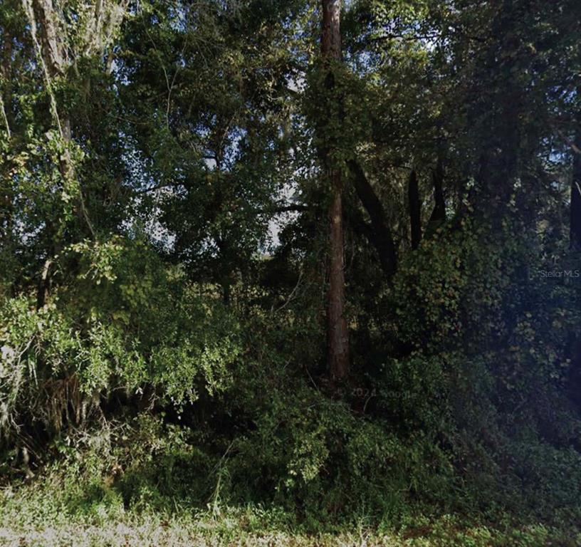 Property for sale at NE 234TH PLACE ROAD, FORT MC COY, FL, 32134