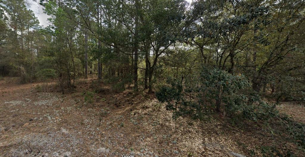 Property for sale at 228 14TH STREET, INTERLACHEN, FL, 32148