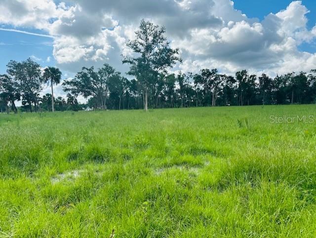 Property for sale at 17450 SE HIGHWAY 19, CROSS CITY, FL, 32628