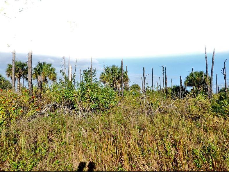 Property for sale at DEVONIA CIRCLE, NORTH PORT, FL, 34288