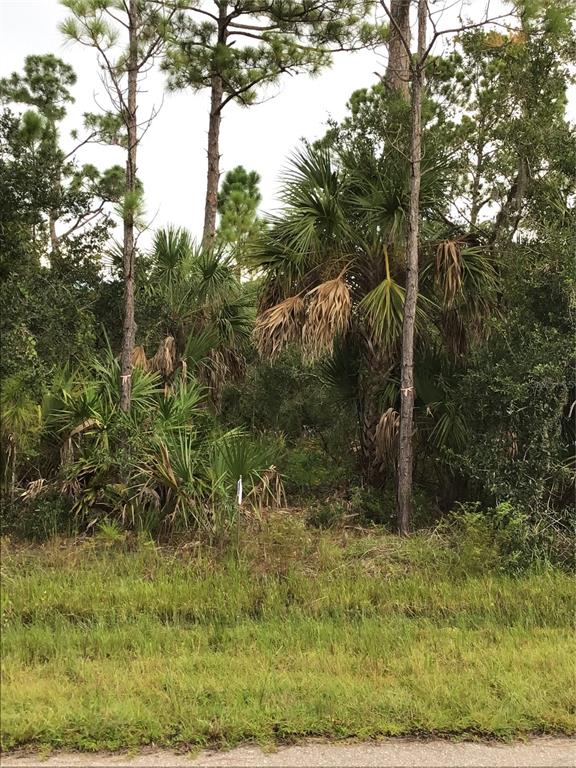 Property for sale at 14202,m 14210,14218,14226 HYDRANGEA AVENUE, PORT CHARLOTTE, FL, 33953