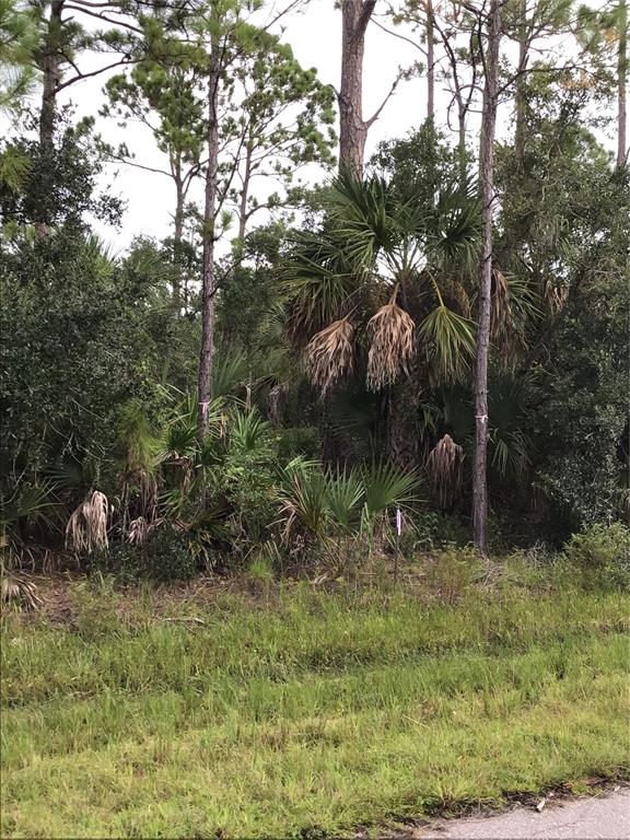 Property for sale at 14202,m 14210,14218,14226 HYDRANGEA AVENUE, PORT CHARLOTTE, FL, 33953