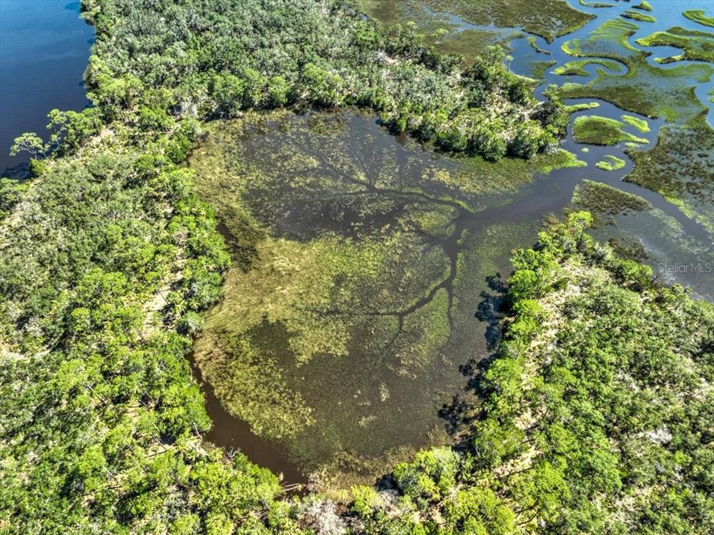 Property for sale at 00000 CLARK ISLAND, CEDAR KEY, FL, 32625