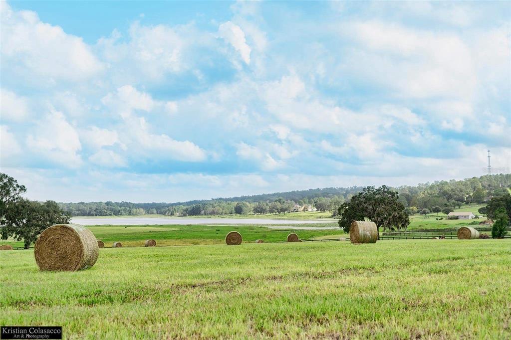 Property for sale at COVINGTON ROAD, DADE CITY, FL, 33525