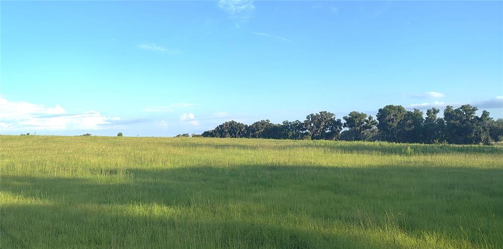 Property for sale at COVINGTON ROAD, DADE CITY, FL, 33525