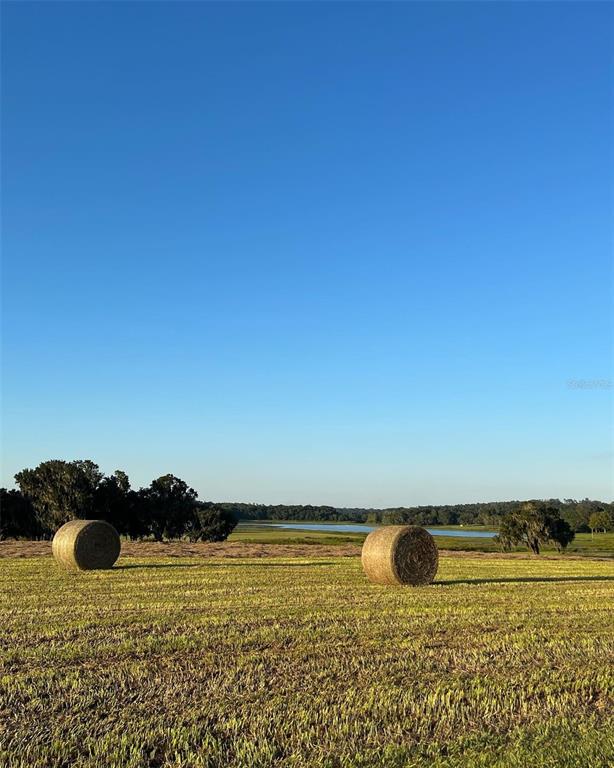 Property for sale at COVINGTON ROAD, DADE CITY, FL, 33525