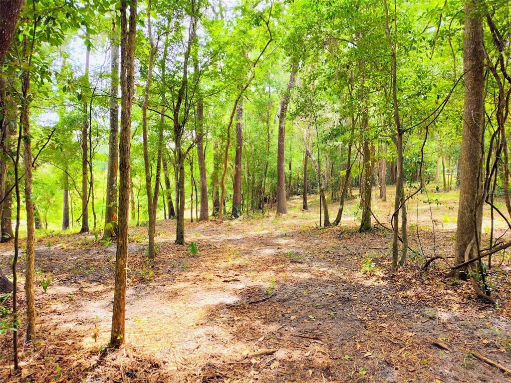 Property for sale at FITZHUGH AVENUE, BROOKSVILLE, FL, 34601