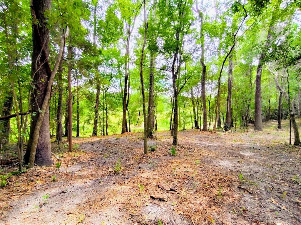 Property for sale at FITZHUGH AVENUE, BROOKSVILLE, FL, 34601
