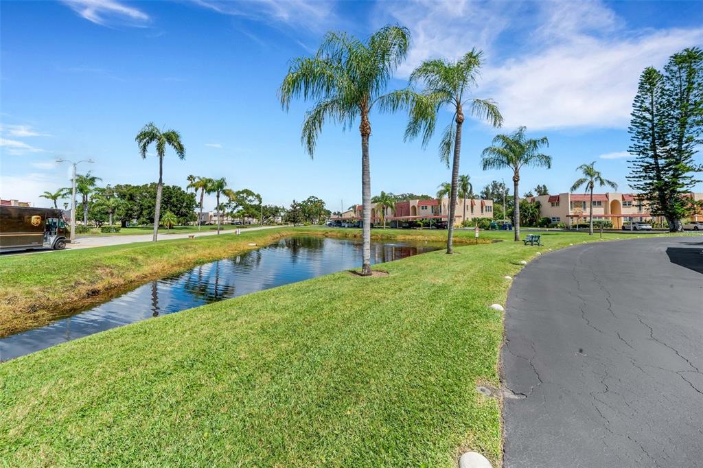 Pond Adjacent to  Assigned Parking Spaces