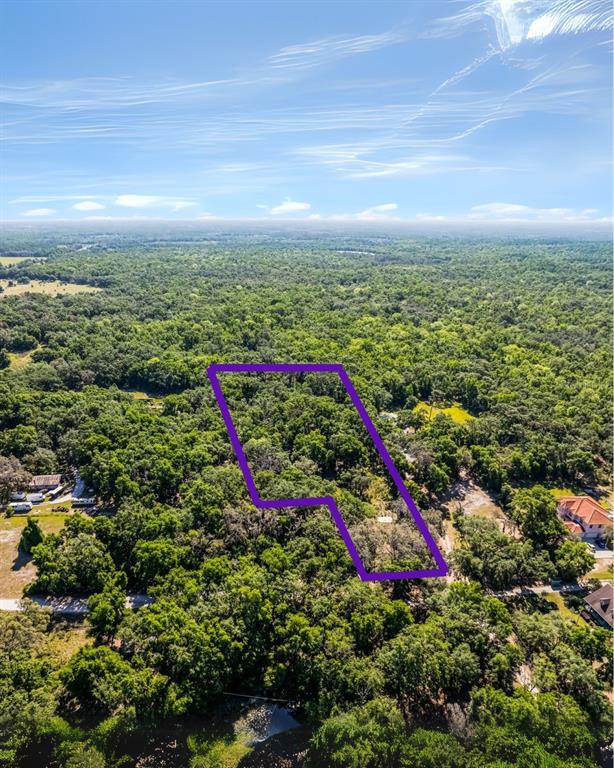 Property for sale at 3633 PANTHER PATH ROAD, LUTZ, FL, 33559