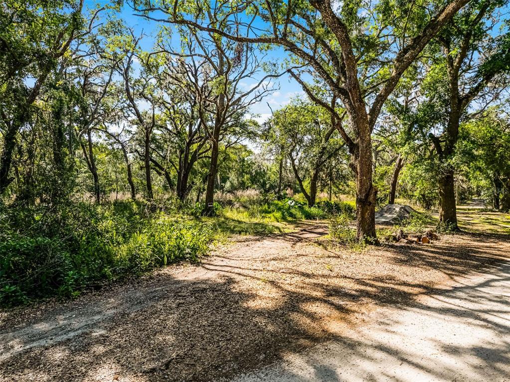 Property for sale at 3633 PANTHER PATH ROAD, LUTZ, FL, 33559