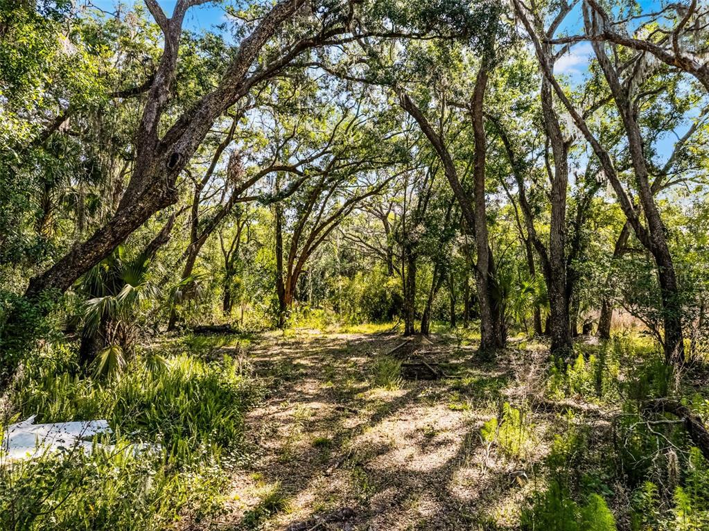Property for sale at 3633 PANTHER PATH ROAD, LUTZ, FL, 33559