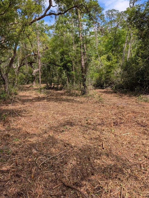Property for sale at 0 NE 220TH STREET, FORT MC COY, FL, 32134