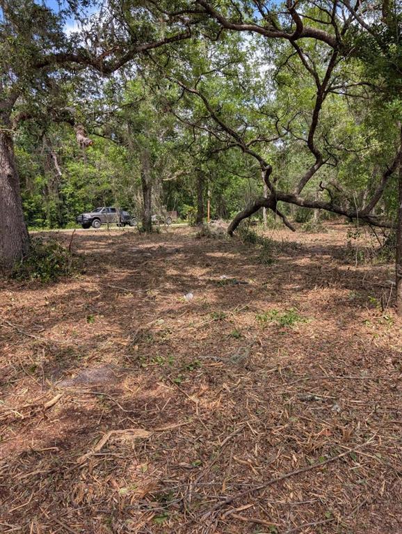 Property for sale at 0 NE 220TH STREET, FORT MC COY, FL, 32134