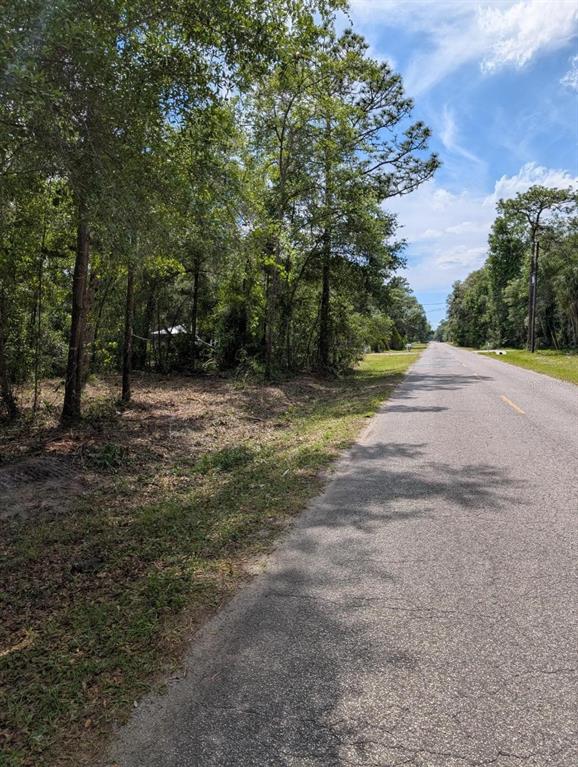 Property for sale at 0 NE 220TH STREET, FORT MC COY, FL, 32134