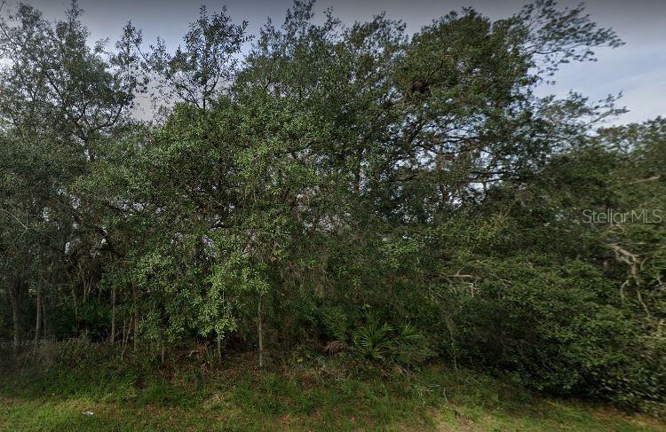 Property for sale at 1402 PUNTA GORDA COURT, POINCIANA, FL, 34759