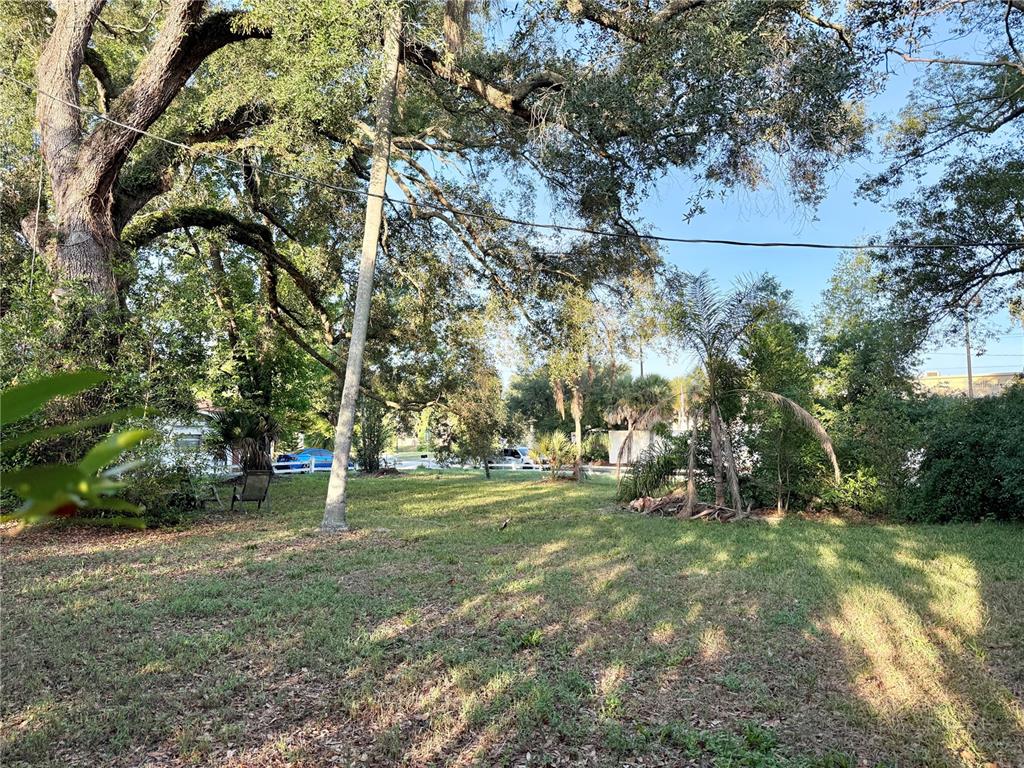 North Corner View Looking to the Center of the Property