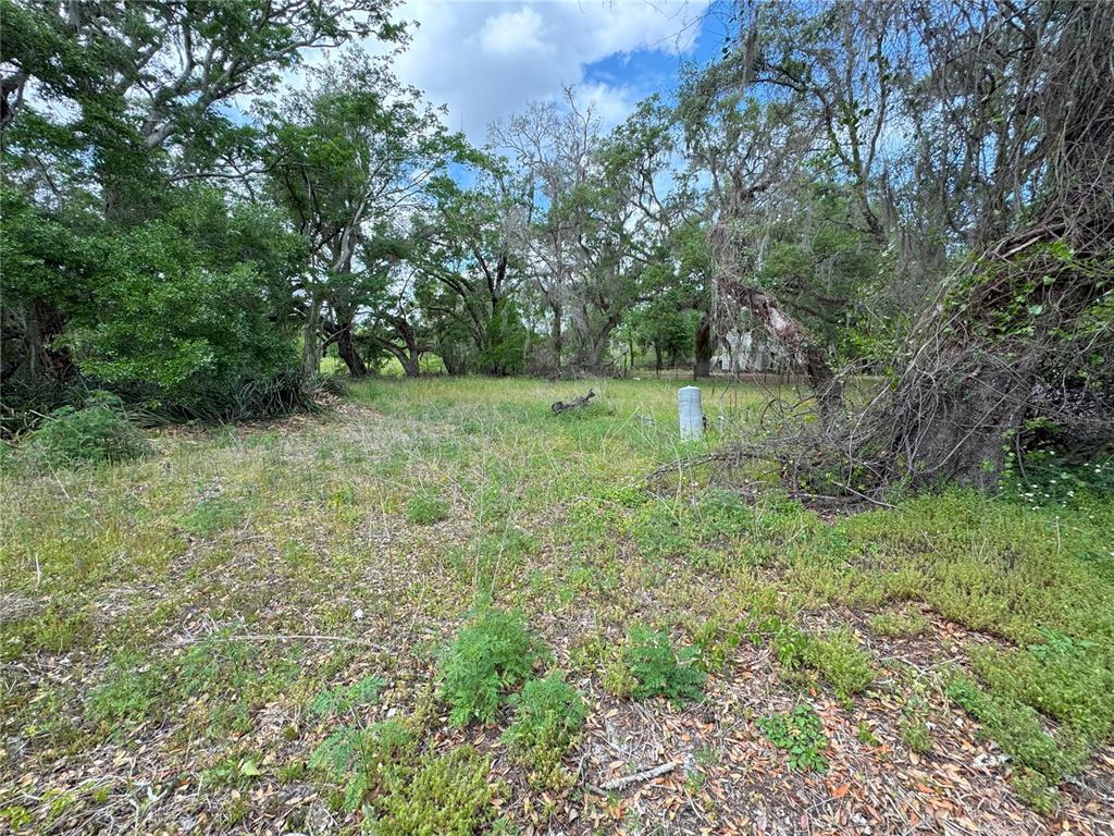 Property for sale at 3221 DUBLIN ROAD, DADE CITY, FL, 33523