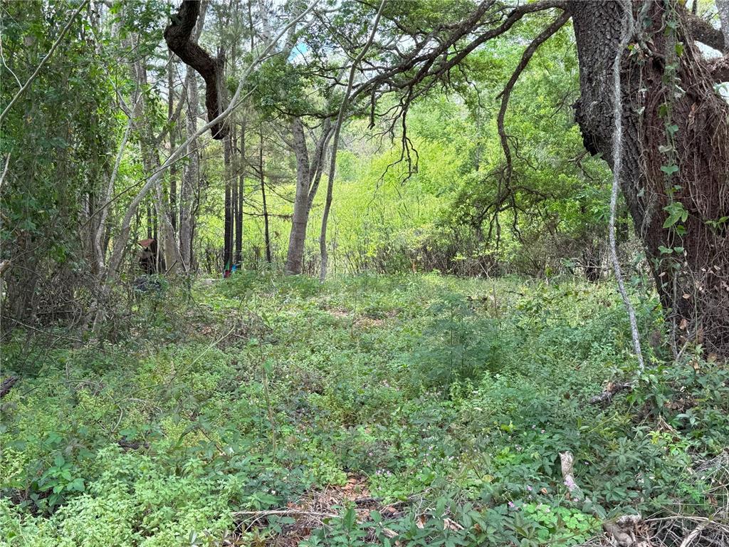 Property for sale at 3221 DUBLIN ROAD, DADE CITY, FL, 33523