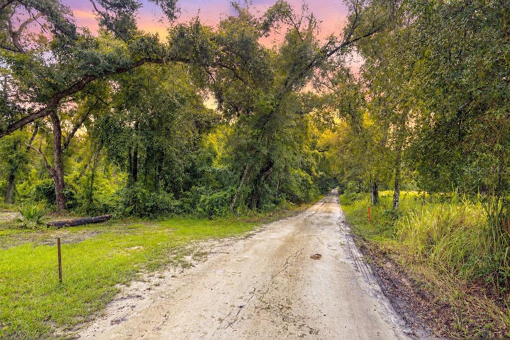 Property for sale at 0 LUCILLES SHADY LANE, NOBLETON, FL, 34661