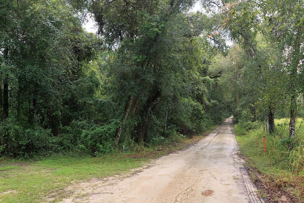 Property for sale at 0 LUCILLES SHADY LANE, NOBLETON, FL, 34661