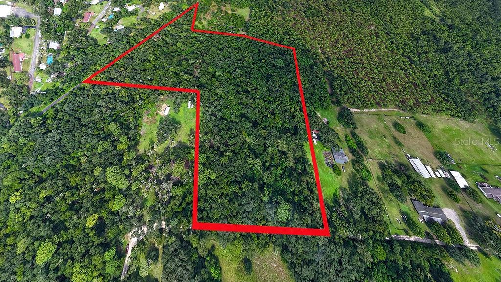 Property for sale at 0 LUCILLES SHADY LANE, NOBLETON, FL, 34661
